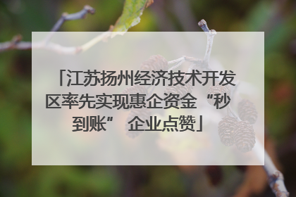 江苏扬州经济技术开发区率先实现惠企资金“秒到账” 企业点赞