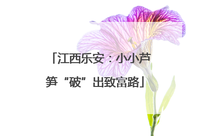江西乐安：小小芦笋“破”出致富路