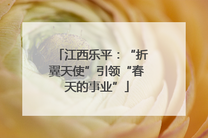 江西乐平：“折翼天使”引领“春天的事业”