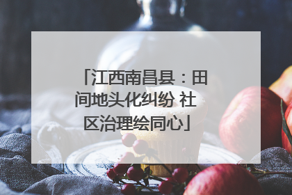 江西南昌县：田间地头化纠纷 社区治理绘同心