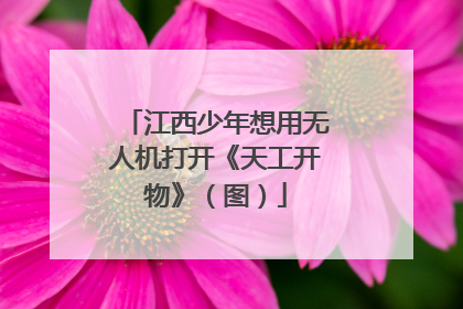 江西少年想用无人机打开《天工开物》（图）