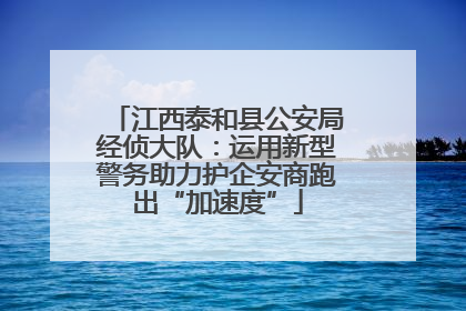 江西泰和县公安局经侦大队：运用新型警务助力护企安商跑出“加速度”