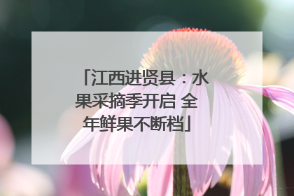江西进贤县：水果采摘季开启 全年鲜果不断档