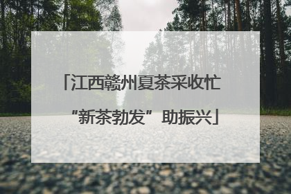 江西赣州夏茶采收忙 “新茶勃发”助振兴