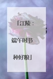 江陵：端午时节种好粮