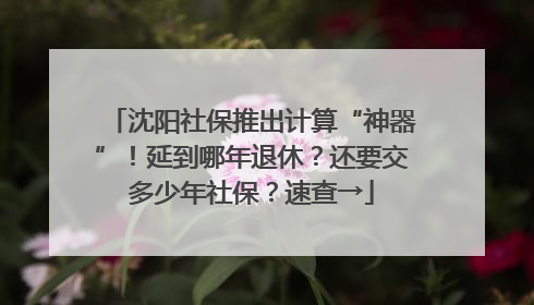 沈阳社保推出计算“神器”！延到哪年退休？还要交多少年社保？速查→