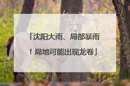 沈阳大雨、局部暴雨！局地可能出现龙卷
