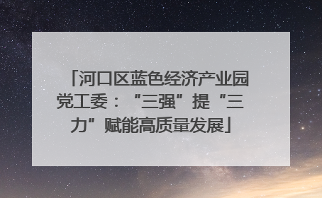 河口区蓝色经济产业园党工委：“三强”提“三力”赋能高质量发展