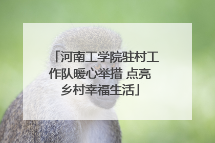 河南工学院驻村工作队暖心举措 点亮乡村幸福生活