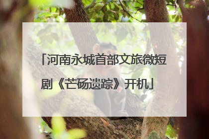 河南永城首部文旅微短剧《芒砀遗踪》开机