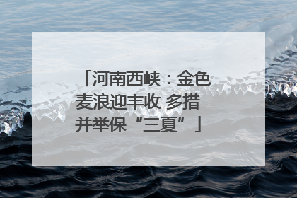河南西峡：金色麦浪迎丰收 多措并举保“三夏”