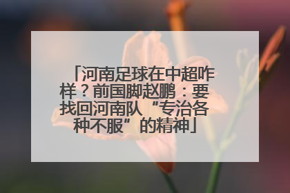 河南足球在中超咋样？前国脚赵鹏：要找回河南队“专治各种不服”的精神