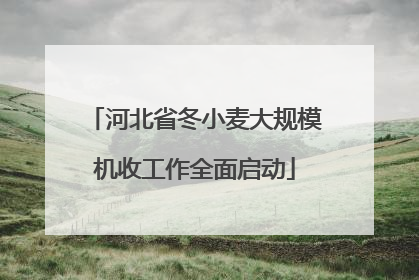 河北省冬小麦大规模机收工作全面启动