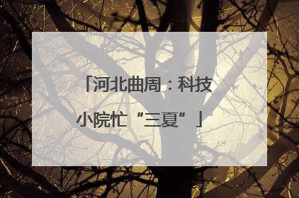 河北曲周：科技小院忙“三夏”