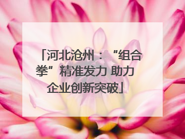 河北沧州：“组合拳”精准发力 助力企业创新突破