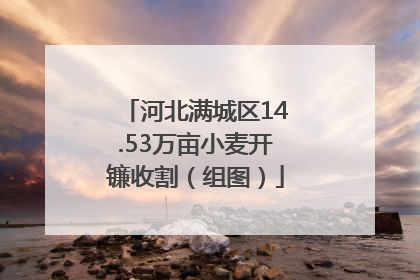 河北满城区14.53万亩小麦开镰收割（组图）