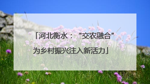 河北衡水：“交农融合”为乡村振兴注入新活力