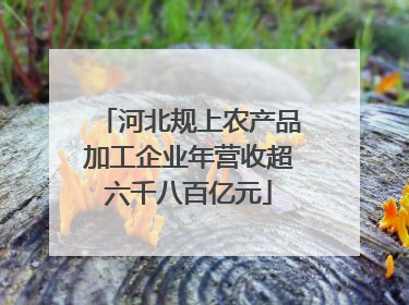 河北规上农产品加工企业年营收超六千八百亿元