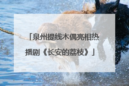 泉州提线木偶亮相热播剧《长安的荔枝》