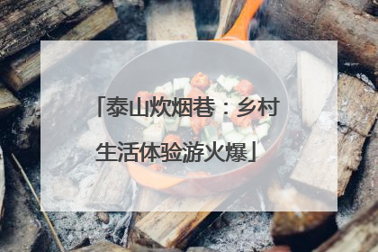 泰山炊烟巷：乡村生活体验游火爆