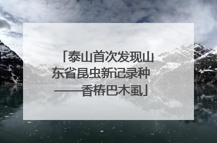 泰山首次发现山东省昆虫新记录种——香椿巴木虱