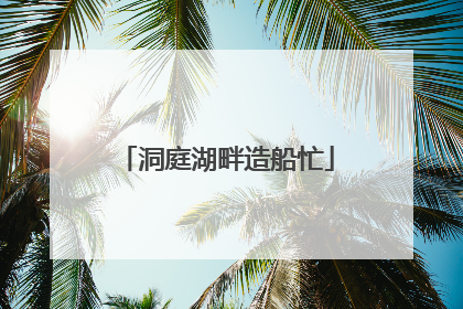 洞庭湖畔造船忙