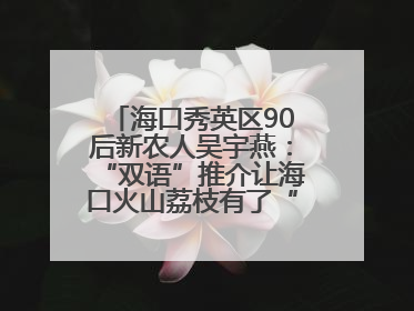 海口秀英区90后新农人吴宇燕：“双语”推介让海口火山荔枝有了“国际范”