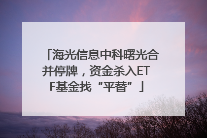 海光信息中科曙光合并停牌，资金杀入ETF基金找“平替”