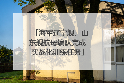 海军辽宁舰、山东舰航母编队完成实战化训练任务