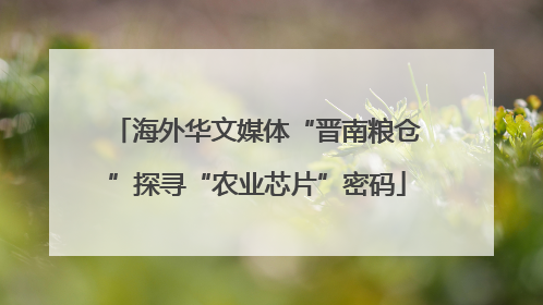海外华文媒体“晋南粮仓”探寻“农业芯片”密码