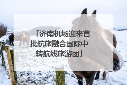济南机场迎来首批航旅融合国际中转航线旅游团