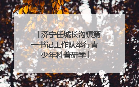济宁任城长沟镇第一书记工作队举行青少年科普研学