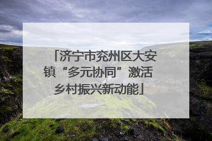 济宁市兖州区大安镇“多元协同”激活乡村振兴新动能