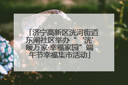 济宁高新区洸河街道东闸社区举办“‘洸’暖万家·幸福家园”端午节幸福集市活动