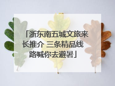 浙东南五城文旅来长推介 三条精品线路喊你去避暑