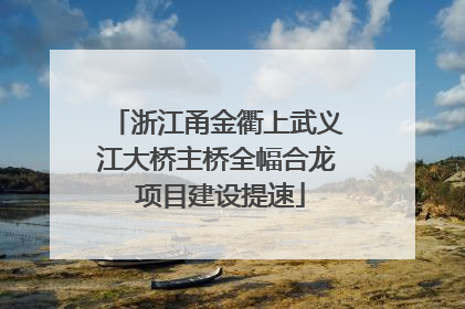 浙江甬金衢上武义江大桥主桥全幅合龙 项目建设提速