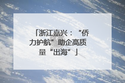 浙江嘉兴：“侨力护航”助企高质量“出海”