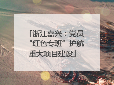 浙江嘉兴：党员“红色专班”护航重大项目建设