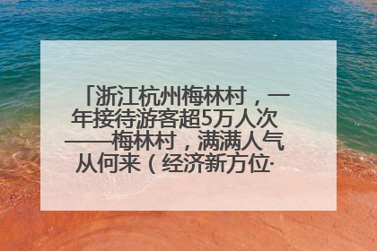 浙江杭州梅林村，一年接待游客超5万人次——梅林村，满满人气从何来（经济新方位·农村消费观察）