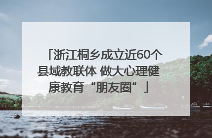 浙江桐乡成立近60个县域教联体 做大心理健康教育“朋友圈”