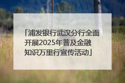浦发银行武汉分行全面开展2025年普及金融知识万里行宣传活动