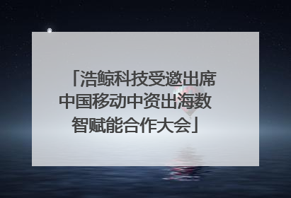 浩鲸科技受邀出席中国移动中资出海数智赋能合作大会