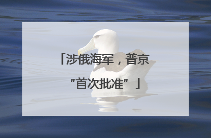 涉俄海军，普京“首次批准”