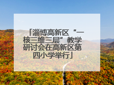 淄博高新区“一核三维三层”教学研讨会在高新区第四小学举行