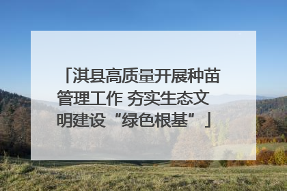 淇县高质量开展种苗管理工作 夯实生态文明建设“绿色根基”
