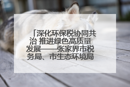 深化环保税协同共治 推进绿色高质量发展——张家界市税务局、市生态环境局签署合作备忘录