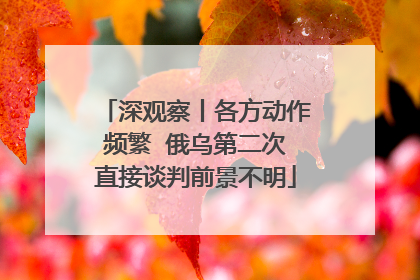 深观察丨各方动作频繁  俄乌第二次直接谈判前景不明