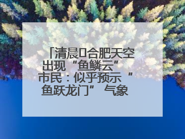 清晨﻿合肥天空出现“鱼鳞云” 市民：似乎预示“鱼跃龙门” 气象专家科普