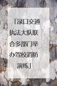 渌口交通执法大队联合多部门举办驾校消防演练