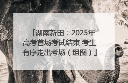 湖南新田：2025年高考首场考试结束 考生有序走出考场（组图）